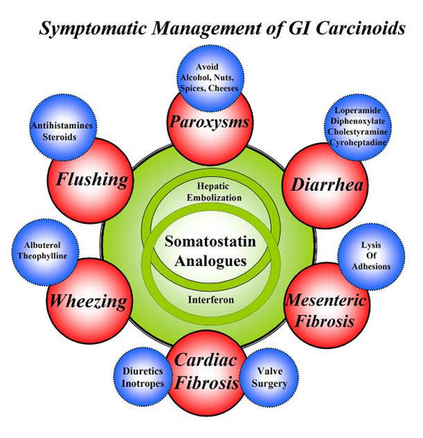symptomatic management of GI carcinoids
